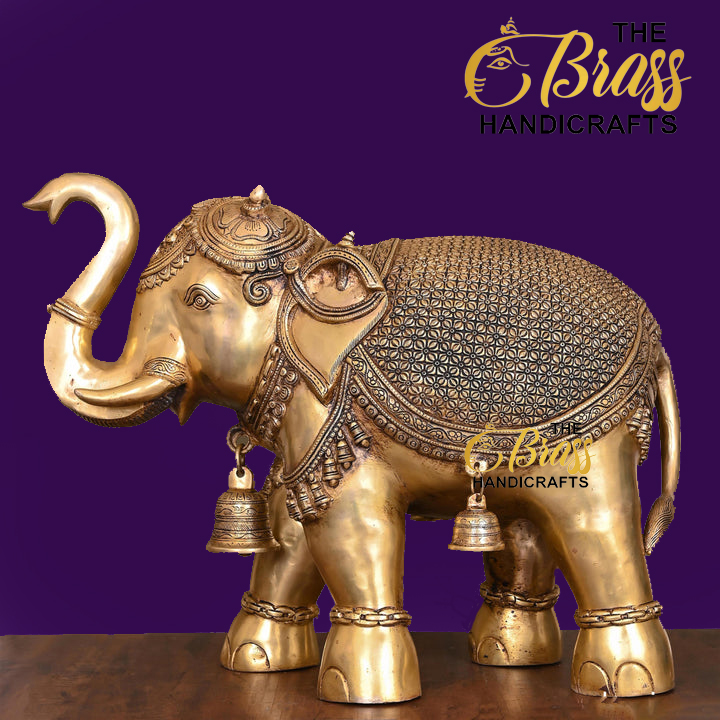 IMG_0290.jpg IMG_0290.jpg