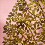 Luxury Brass Kalpavriksha Tree of Life – 30 Inch Statement Tabletop Decor  thebrasshandicrafts.com