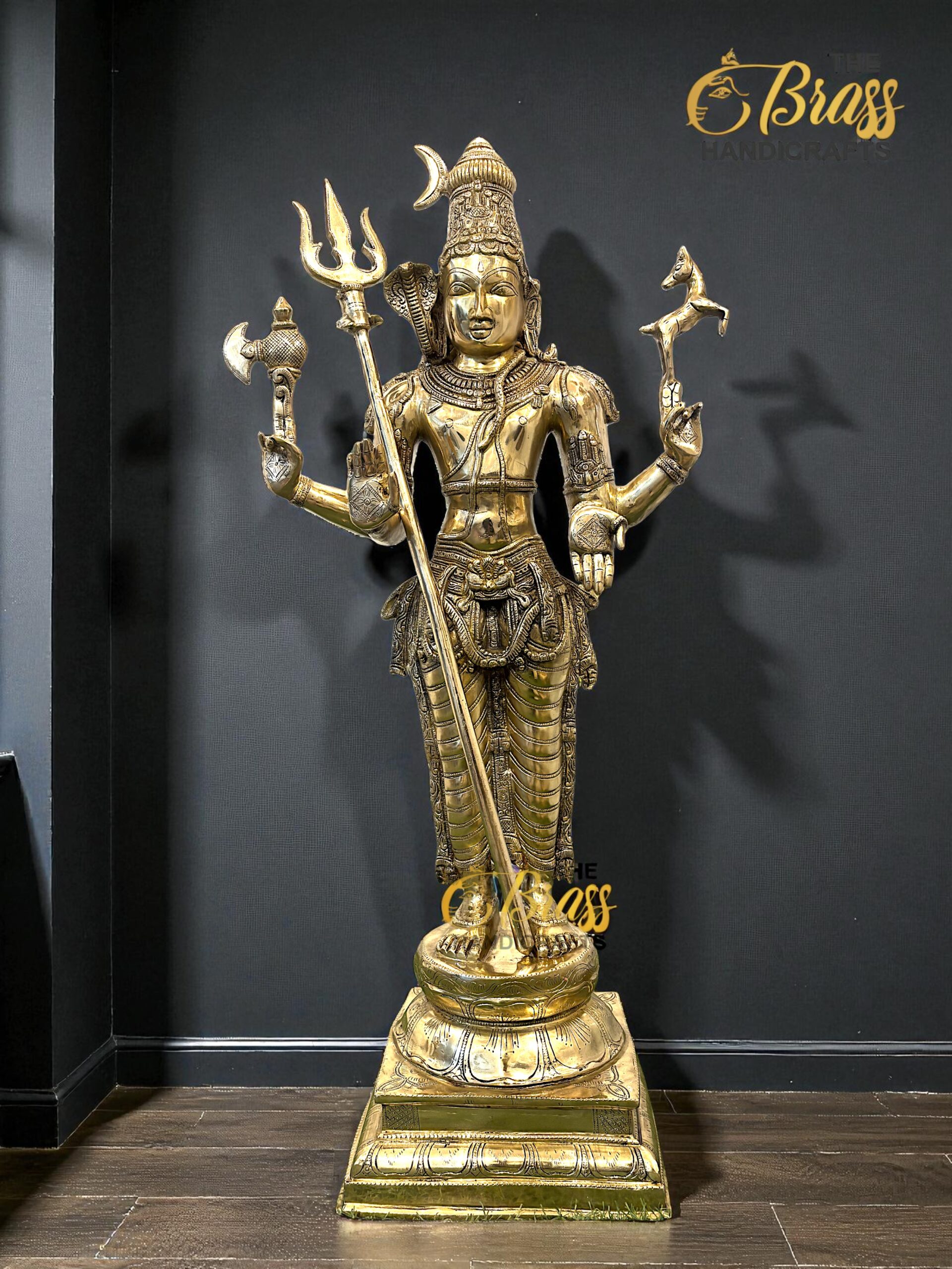 shiva-Photoroom-scaled-1.jpg shiva-Photoroom-scaled-1.jpg